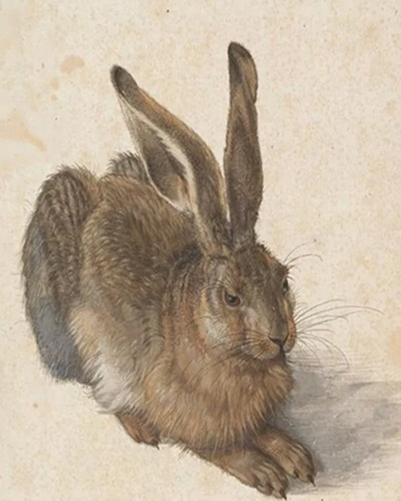 A Young Hare By Albrecht Durer DIY Paint By Numbers Kit