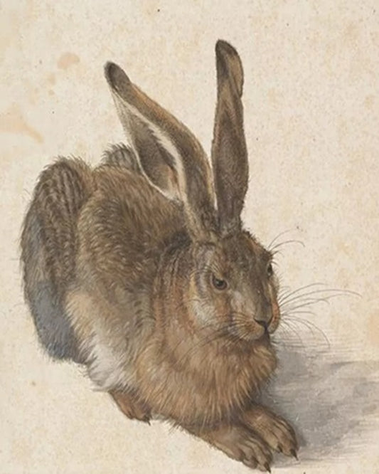 A Young Hare By Albrecht Durer DIY Paint By Numbers Kit